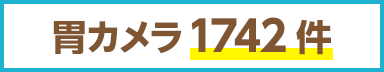 胃カメラ1742件