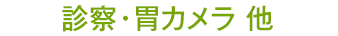 診察・胃カメラ 他